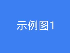 细化具体政策；要提高社会认同度并提升文化—认知合法性